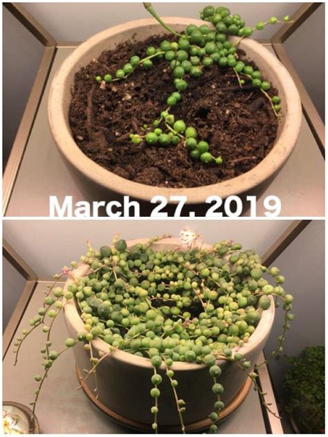 815 Best June 12 Images On Pholder History Porn Warship Porn And Military Porn