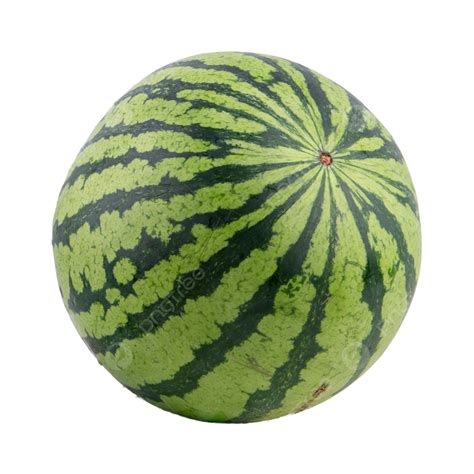 Watermelon Fresh Organic Green Fruit, Watermelon, Fresh, Organic PNG ...