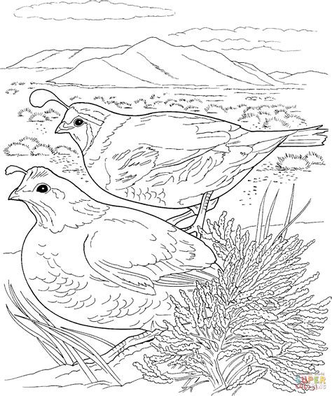 Two Quails coloring page | Free Printable Coloring Pages