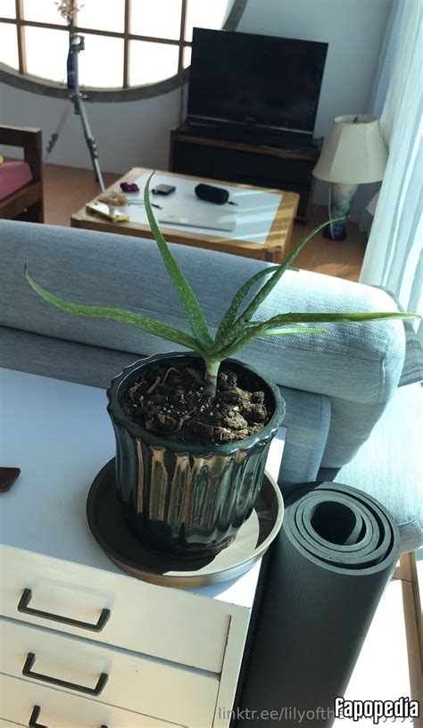 Lilyofthevalleyyyy Nude OnlyFans Leaks Photo 4327594 Fapopedia