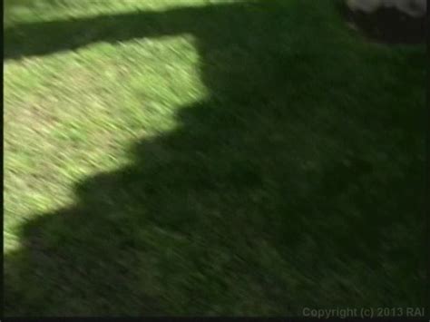 Seymore Butts Poetic Just Ass 2001 Adult Empire