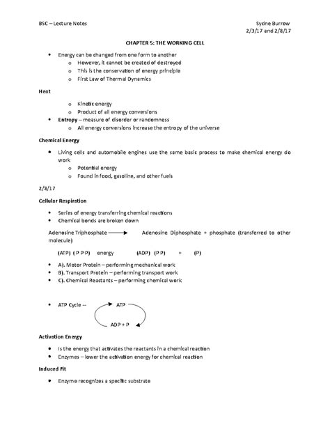 BSC - Chapter 5 - The working cell - BSC – Lecture Notes Sydne Burrow 2