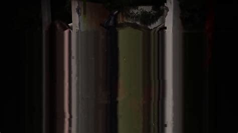 Companion Amateur Car Jacking Suspect Gets The Jacking He Deserves