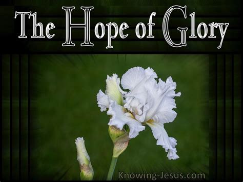 Colossians 127 The Hope Of Glory Devotional1115 Green