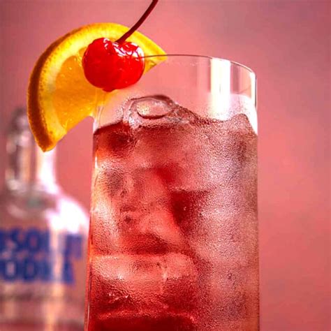 Homemade Sex On The Beach Cocktail Recipe Recipe Dinner Then Dessert