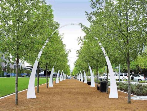What Planting Zone Is Dallas Texas Chicago Land Gardening