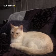 Savanahroses Nude OnlyFans Leaks 2023 Fapopedia