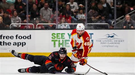 AHL Playoffs: Firebirds blanked by Wranglers to force winner-take-all ...