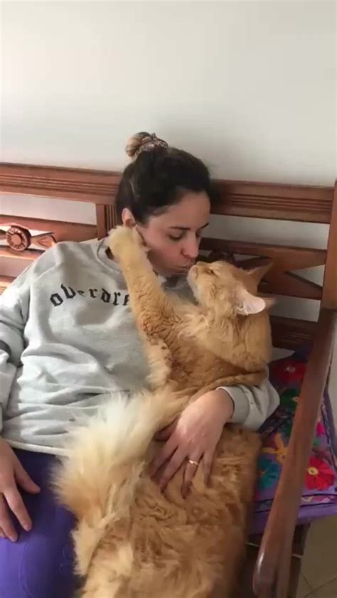 Giant Ginger Pussy Scrolller