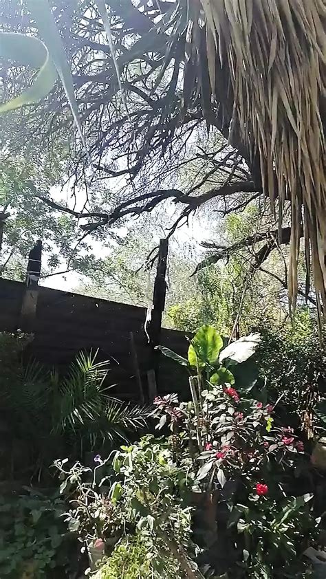 In The Garden Gay Rough Sex Cumshot Porn Feat Marga9012 XHamster