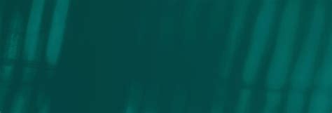 Employee Self Service Software for Payroll & HR | Greenshades