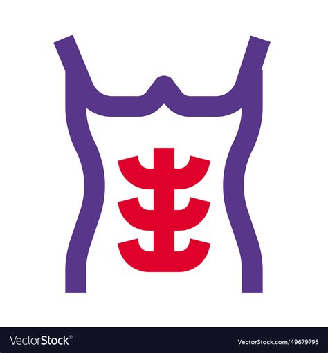 Rectus Abdominis Muscle Also Known Royalty Free Vector Image