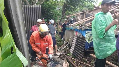 Akibat Hujan Angin Di Kota Banjar Rumah Rusak Tertimpa Pohon Tumbang