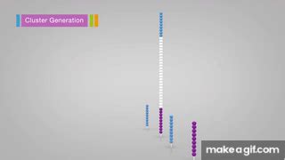 Illumina Sequencing By Synthesis On Make A