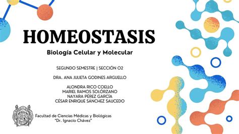 Homeostasis Enrique Sánchez Udocz