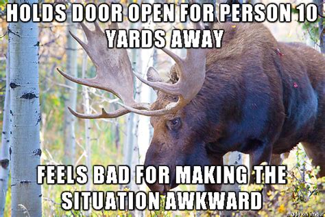 Moose Memes