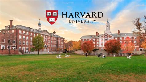 Egresado de la UNMSM ingresa a Harvard y aconseja: "Todo proceso de ...