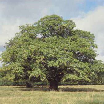 Just Found A Whole Bunch Of Naked Pictures Of My Girlfriend Online Physical And Mental Well