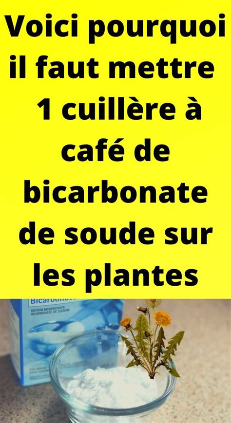 Voici Pourquoi Il Faut Mettre Cuill Re Caf De Bicarbonate De Soude