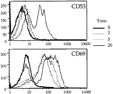 Kinetic Analysis Of CD53 And CD69 Induction In DP Thymocytes From