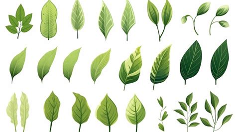 Premium Vector A Collection Of Green Leaves And Plants