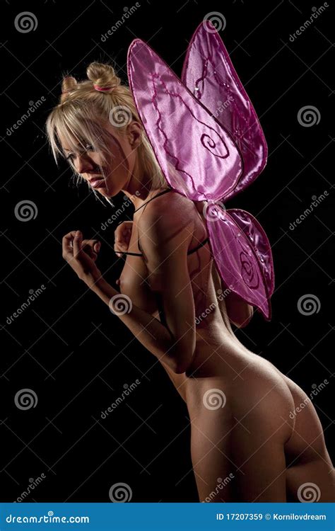 Naked Girl With Wings Stock Image Image Of Cover Lady 17207359