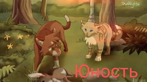 Коты-воители - Юность - YouTube