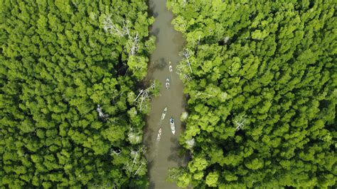 Empower People And Protect The Planet