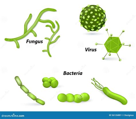 Virus Bacterias Y Hongos Ilustración Del Vector Imagen 56126881