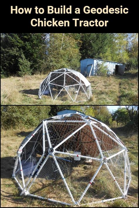 Efficient Diy Coop A Geodesic Chicken Tractor In Simple Steps