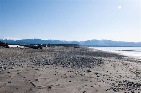 Wooden Trunks And Pebbles At Dungeness Spit Olympic Peninsula USA