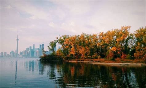 Where To Enjoy Fall Foliage In And Around Toronto One King West Hotel