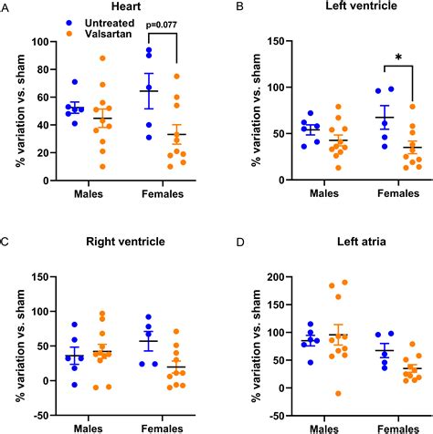 Sex Differences In The Response To Angiotensin II Receptor Blockade In A Rat Model Of Eccentric