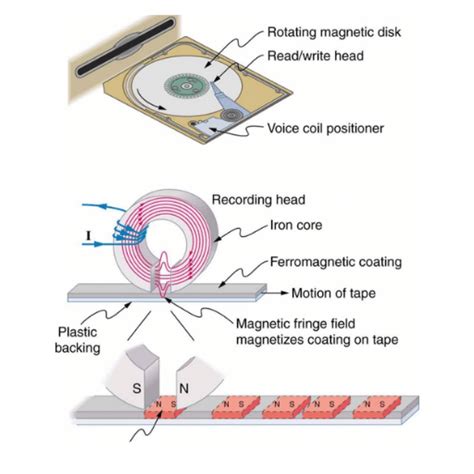 Magnetic Metals A Comprehensive List Of Metals Attracted To Magnets Kingsun