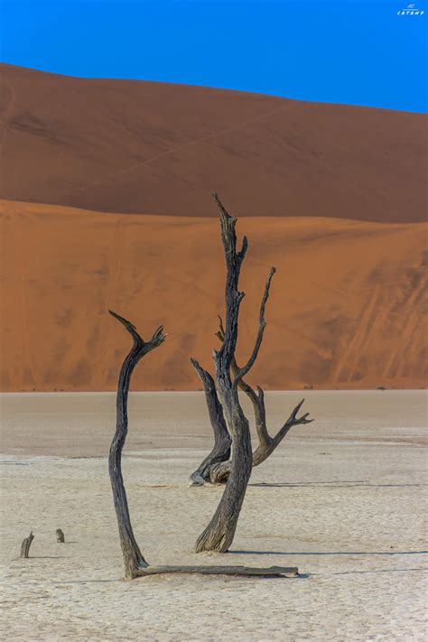 Sossusvlei Namibia 2015 Oc 2592x3888 Rearthporn