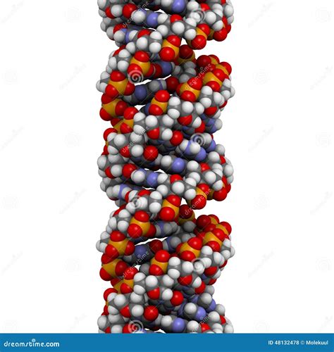 Van Dna Bouw A Dna De Structuur Stock Illustratie Illustration Of