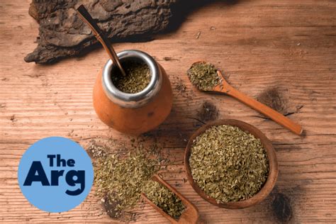 Types Of Yerba Mate And How To Choose The Best One