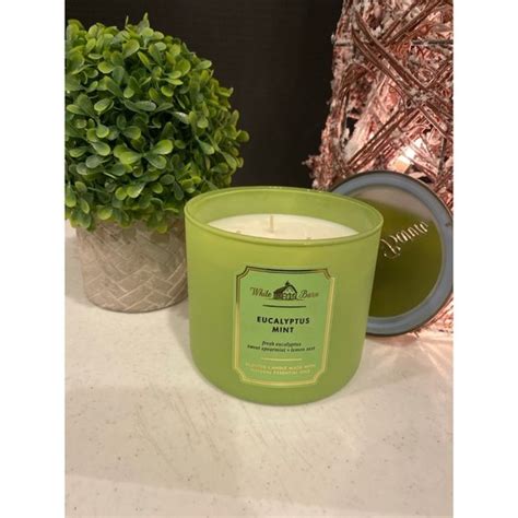 Bath Body Works Accents Bath Body Works Eucalyptus Mint Wick