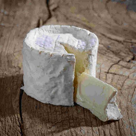 chaource  monsieur chatte