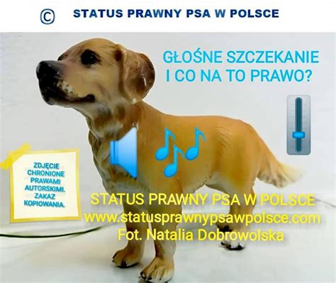 Głośne szczekanie psa