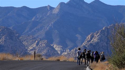 The Film Sex Money FilmSex Money Film