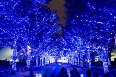 写真518｜青の洞窟イルミネーションが渋谷で復活！渋谷公園通りから代々木公園ケヤキ並木まで青の空間に ファッションプレス