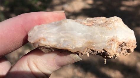 Rockhounding Agate Chalcedony And Obsidian In The Jemez Mountains Of