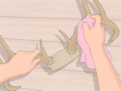 How To Clean Deer Antlers 8 Steps With Pictures Wikihow