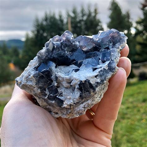 G Violet Blue Cubic Fluorite Crystal Cluster Specimen On White Matrix