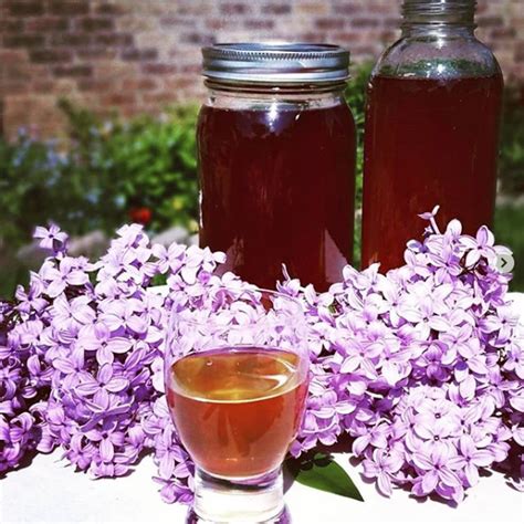 Lilac Liqueur Liqueur Edible Flowers Recipes Shrub Drink