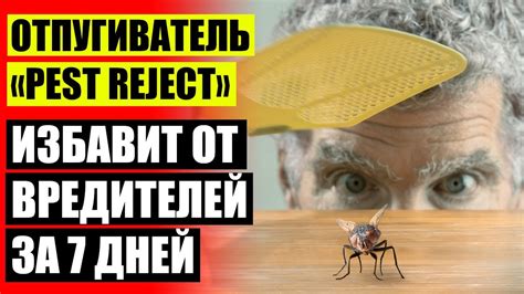 ОТПУГИВАТЕЛЬ ОТ ТАРАКАНОВ В КВАРТИРЕ - YouTube