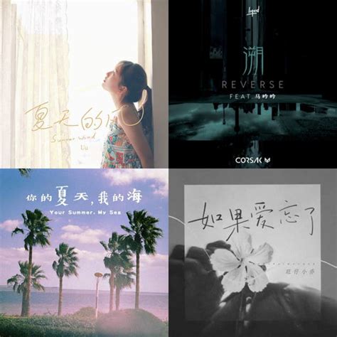 Nh C Trung Hot Douyin Playlist By Ho Ng Di U Linh Spotify