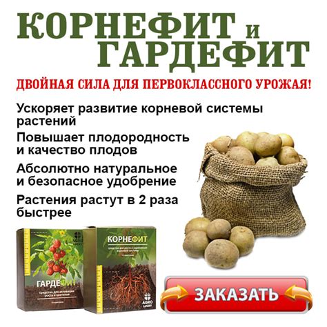 КОРНЕФИТ И ГАРДЕФИТ для картофеля. ЦЕНА удобрения, отзывы, где купить в ...