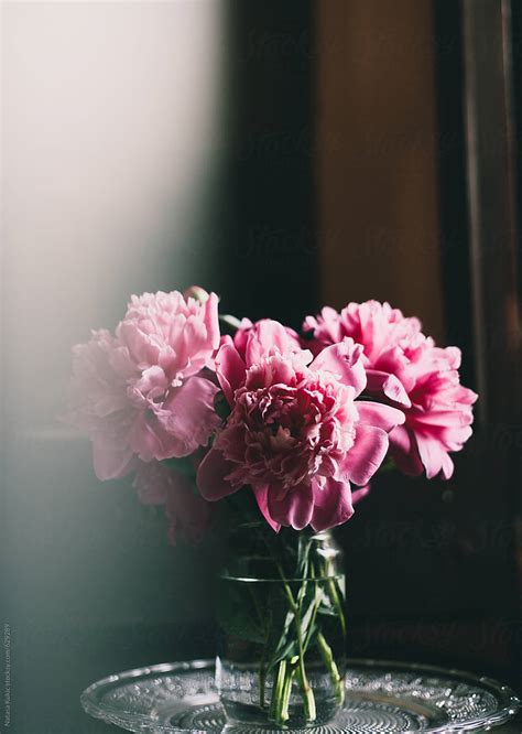 Pink Peonies In A Vase By Natasa Kukic Stocksy United